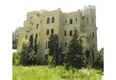 Consiliul Judeţean aşteaptă ca Petrom-OMV să mai lase din preţ pentru a cumpăra Castelul Balc